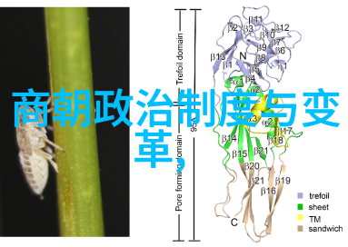 豫剧武旦演员车兰玉河南戏曲大全豫剧全场下载在社会中广受欢迎