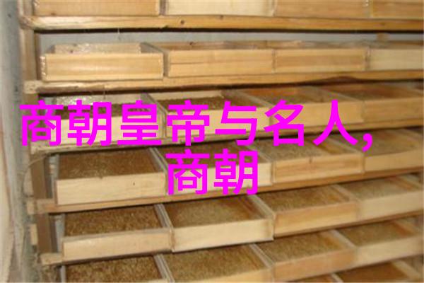 刘亦菲演的靖康电视剧叫-绝代双娇刘亦菲饰演的靖康之痛