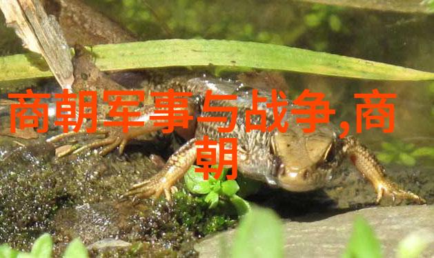 宋朝科技与艺术的高峰一幅简图回顾