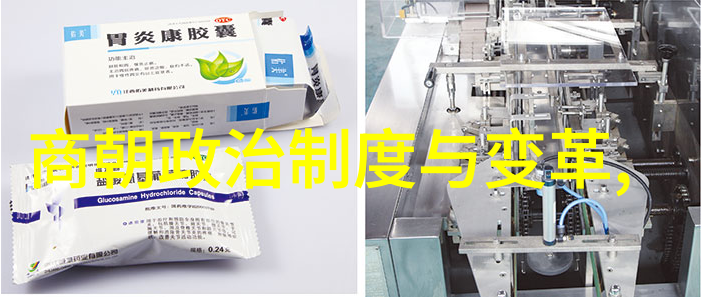 穿越时空的历史奇遇免费探秘明朝那些事儿