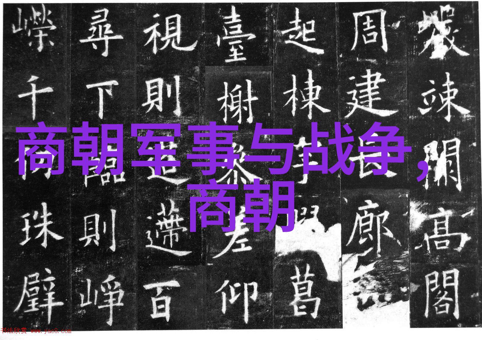 明朝的耻辱土木堡之战与对外关系的转折点研究