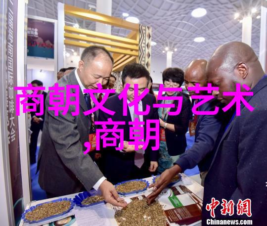 元朝的辉煌与坎坷重现历史风云