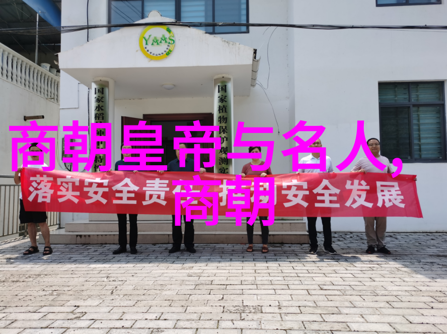 中医师与道士传统文化中的专业人士