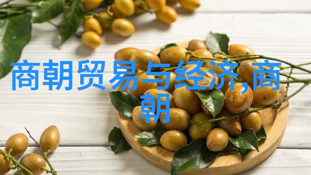 北宋灭亡后的文化遗产值得后世传承的宝贵财富