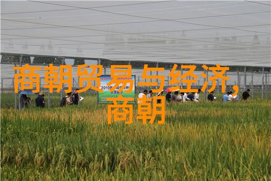 李凯馨歌手一共几季的花朵在舞台上绽放