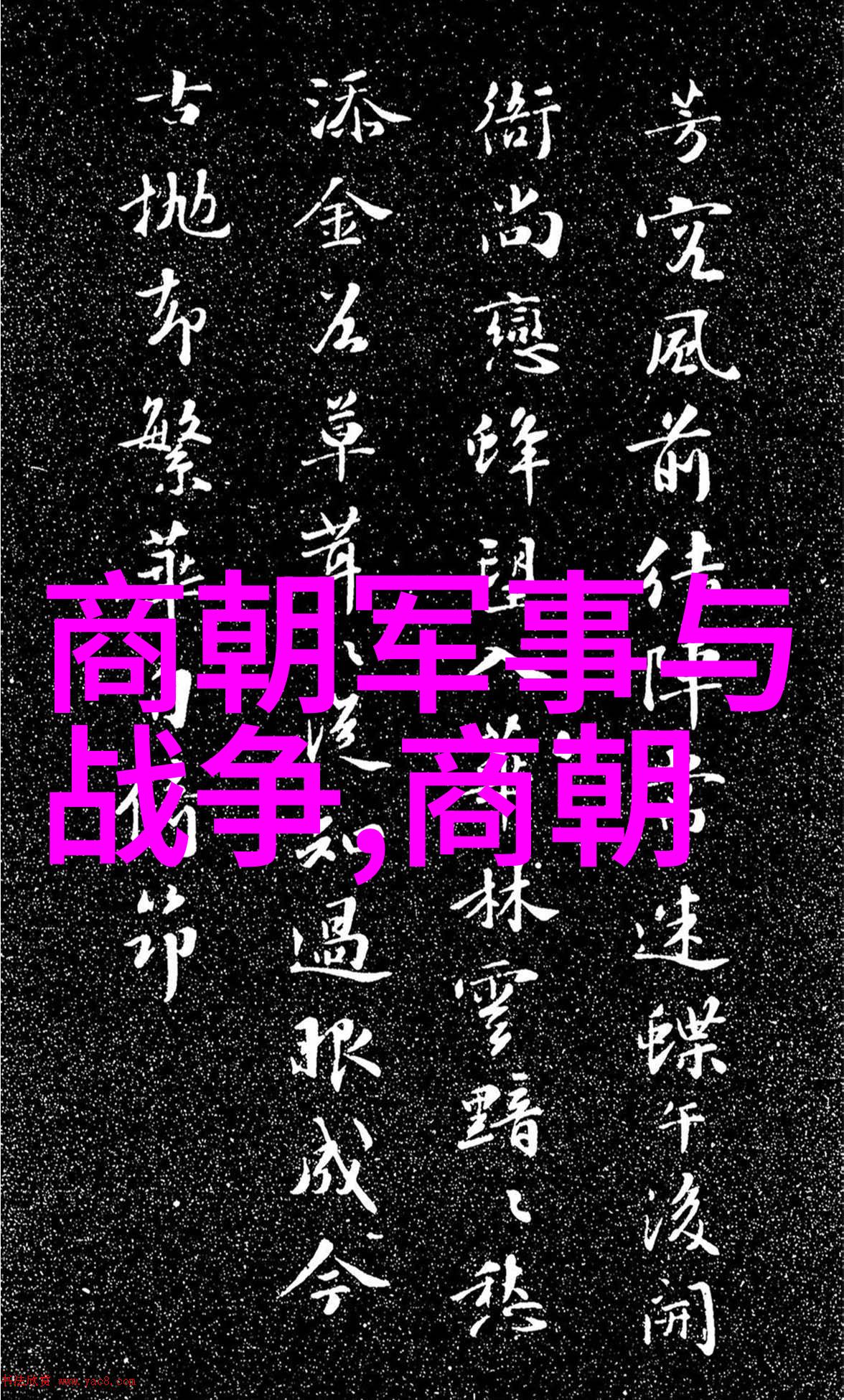 辽阔帝国的末日铁血与泪水的交响曲