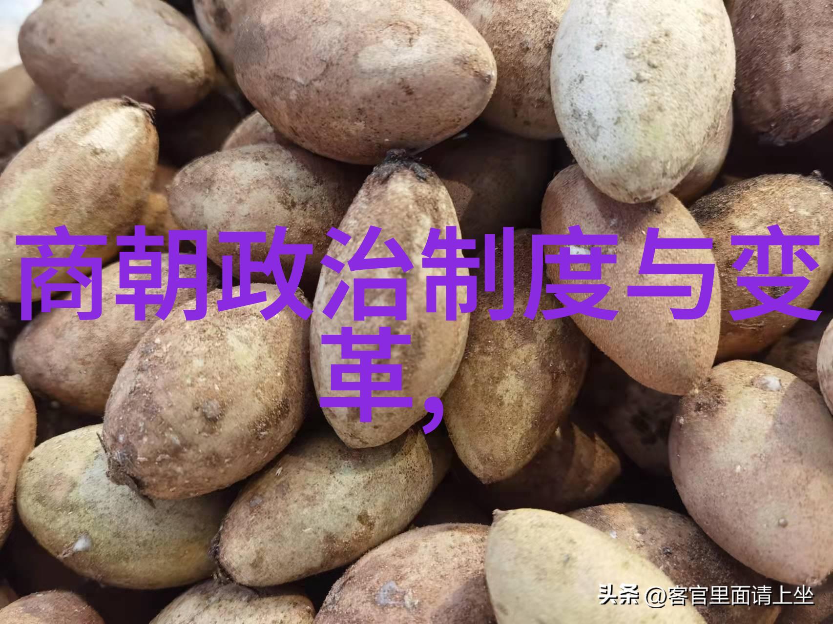 禅让制度在北朝时期的作用与意义又是怎样的