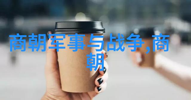 历史的垃圾堆明清交替中的遗留问题探究