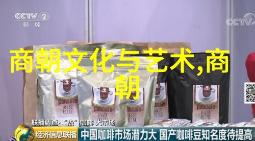 宋朝的遗响一个穿越时空的故事
