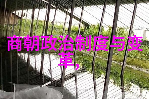 烈火风暴他来时的无声宣言