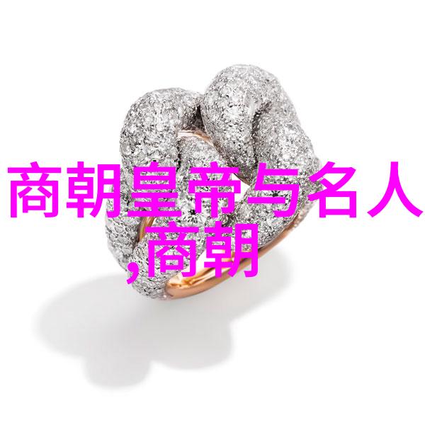 南宋古韵中的杨式太极拳如同黄丹英这位艺术家的灵魂之笔绘出了和谐与力量的完美列表