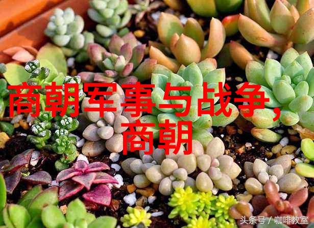 明朝那些事儿的作者-重走历史长河明朝那些事儿背后的故事与人生