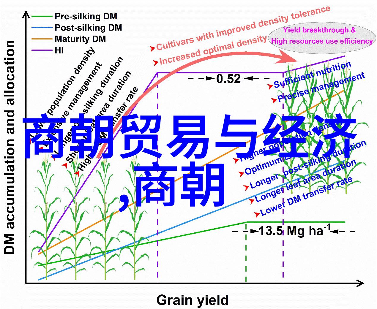 编纂精华揭秘494位名字列表背后的文化与故事