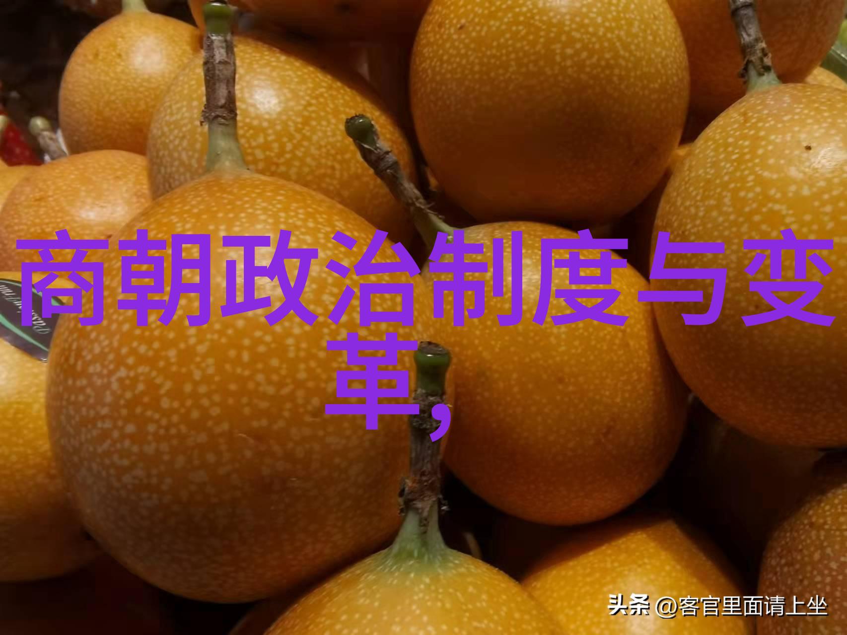 博果尔的娘是谁比孝庄尊贵 - 宫廷之谜揭秘博果尔母亲的荣耀与孝庄帝的尊贵