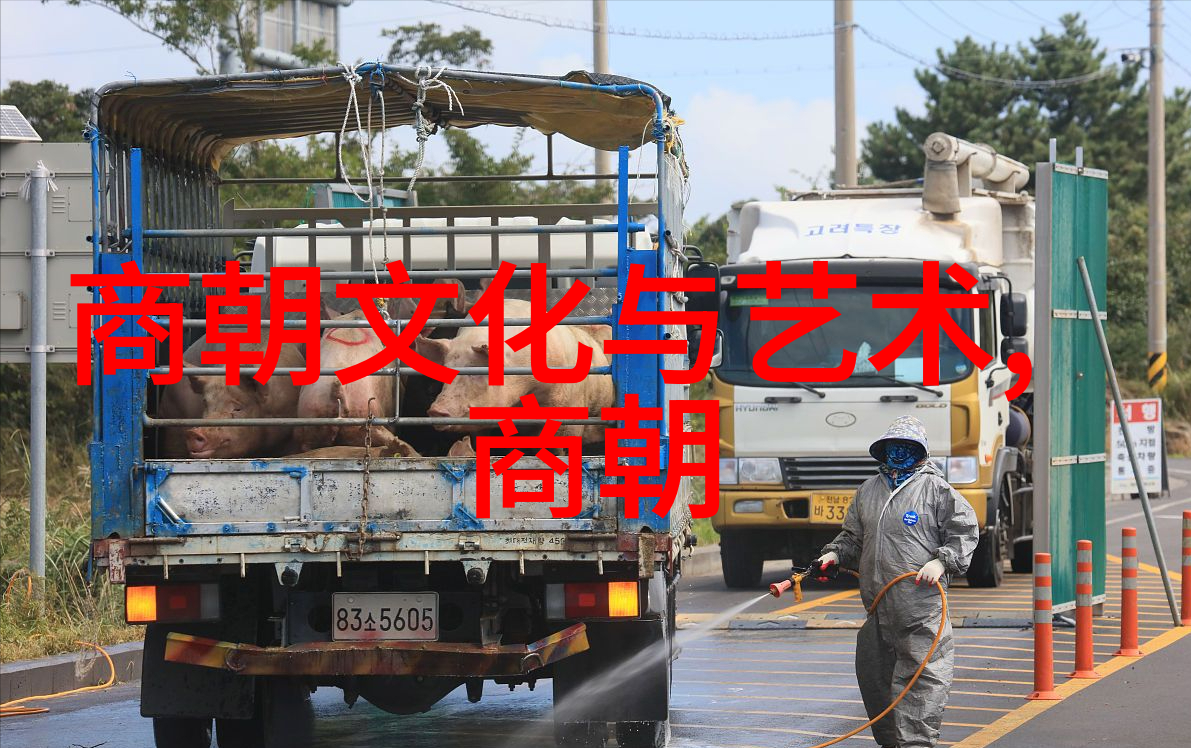 南诏国被谁灭掉的-从云南石林到大理古城南诏国如何在宋朝的铁拳下覆灭
