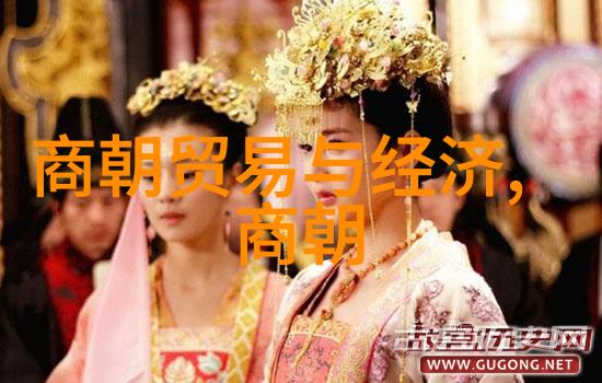 最不应该灭亡的朝代重构历史的遗憾与可能