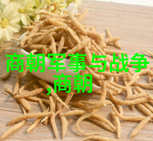 明朝无昏君之所以灭亡的原因深刻分析明朝末年政治经济社会结构性问题
