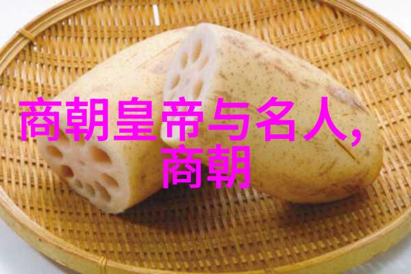 明朝世系的绵密编织追溯皇权的血脉纽带