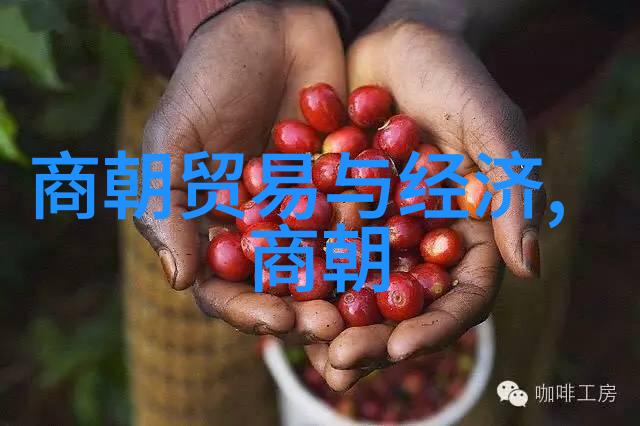 赵括七国之巅的沉默者公元前260