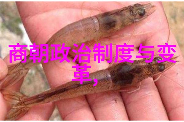 如何评价崇祯十七年的内忧外患对明朝命运的影响