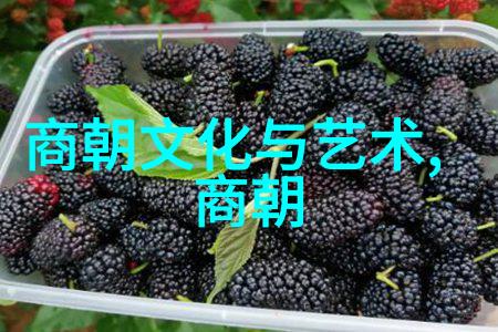 王琦近代名人军事在社会中的影响