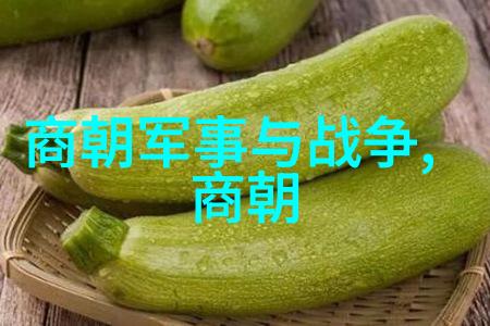 中国最弱的三个朝代-三朝鼎立中国历史上的衰落与挣扎