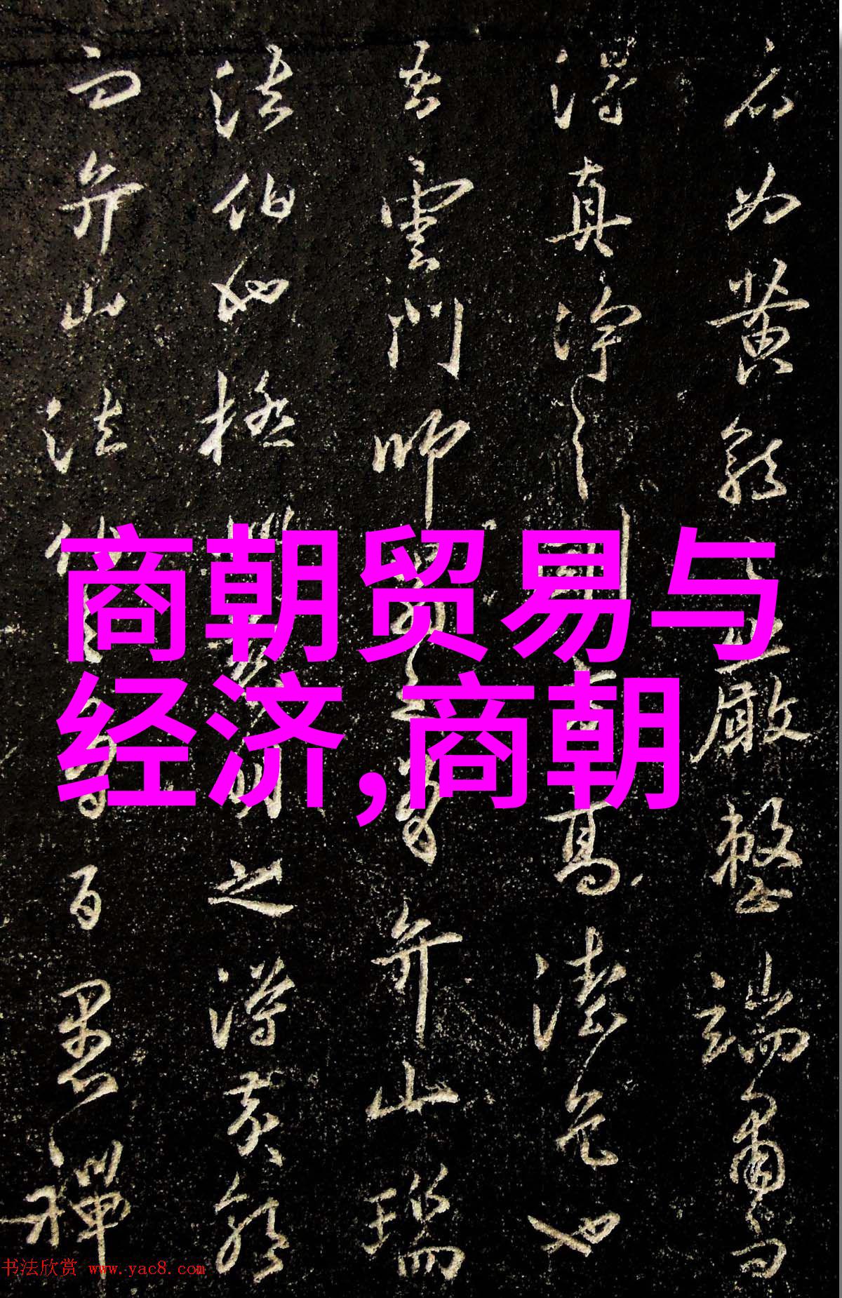 从土木堡到李自成农民起义前夜的情境探究
