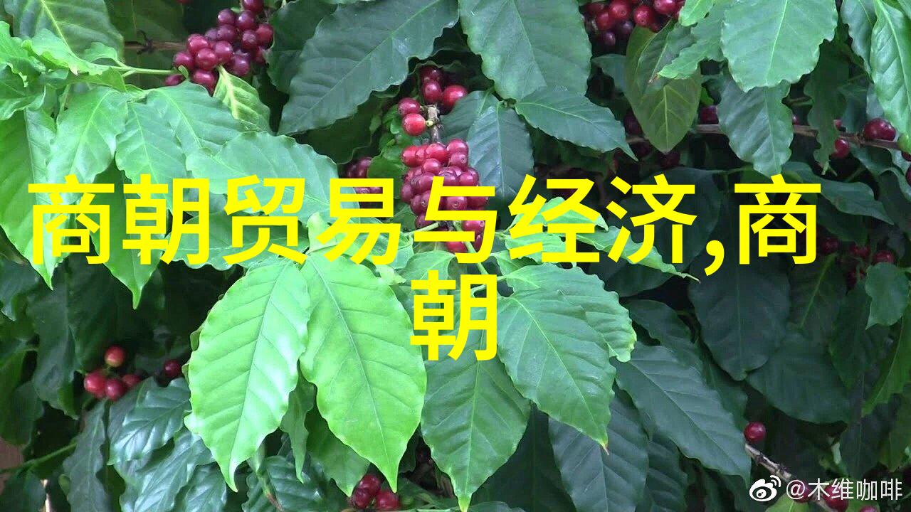 光绪帝的囚禁岁月逆袭与沉默