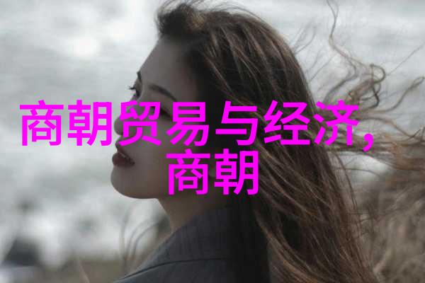 如果岳飞没死他能阻止靜康之禍的发生吗