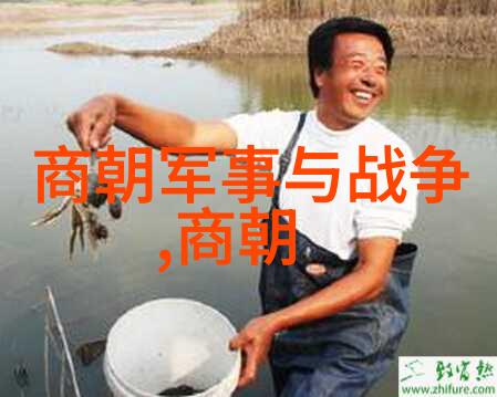 中国历史最长王朝-秦汉至清的帝国辉煌探索中国历史上最持久的统治力量