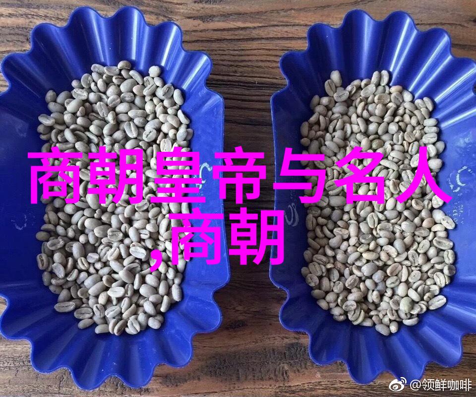 明朝那些事一个关于权力文化与战争的七百字故事