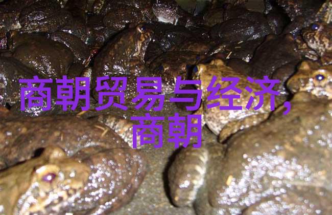 中国历史名人资料曾毓淮的反复印象
