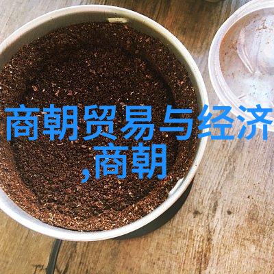 宋代政事年表一个综合性考古学视角下的历史回顾