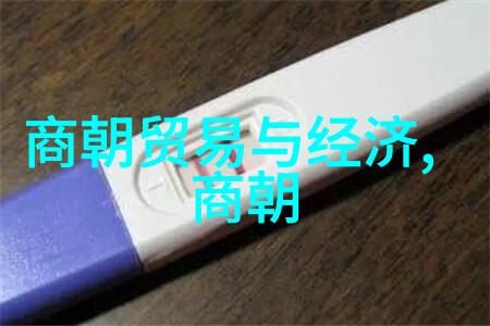 战略联盟与外交策略分析唐朝如何维持其作为当时重要国家的地位
