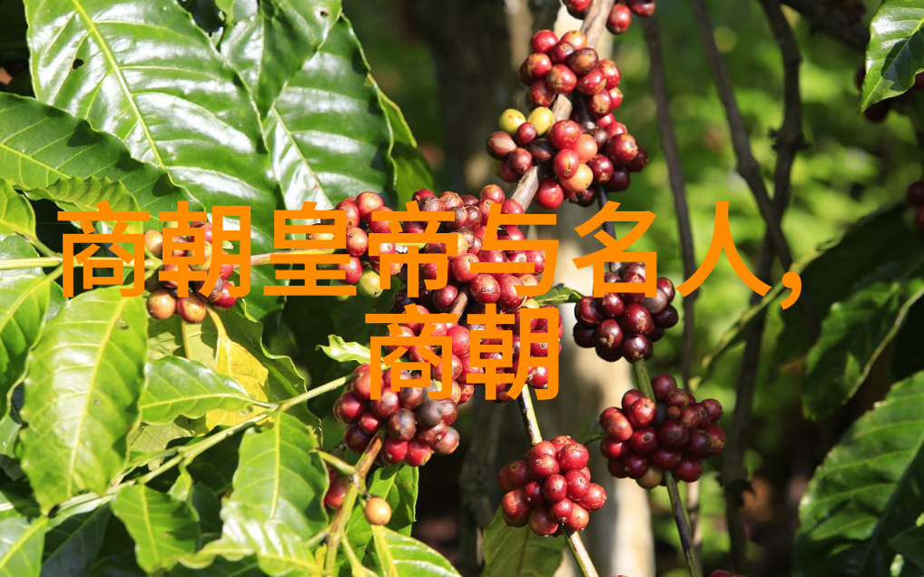 十大经典穿越军事小说中的战场与时光隆美尔家人的传奇故事