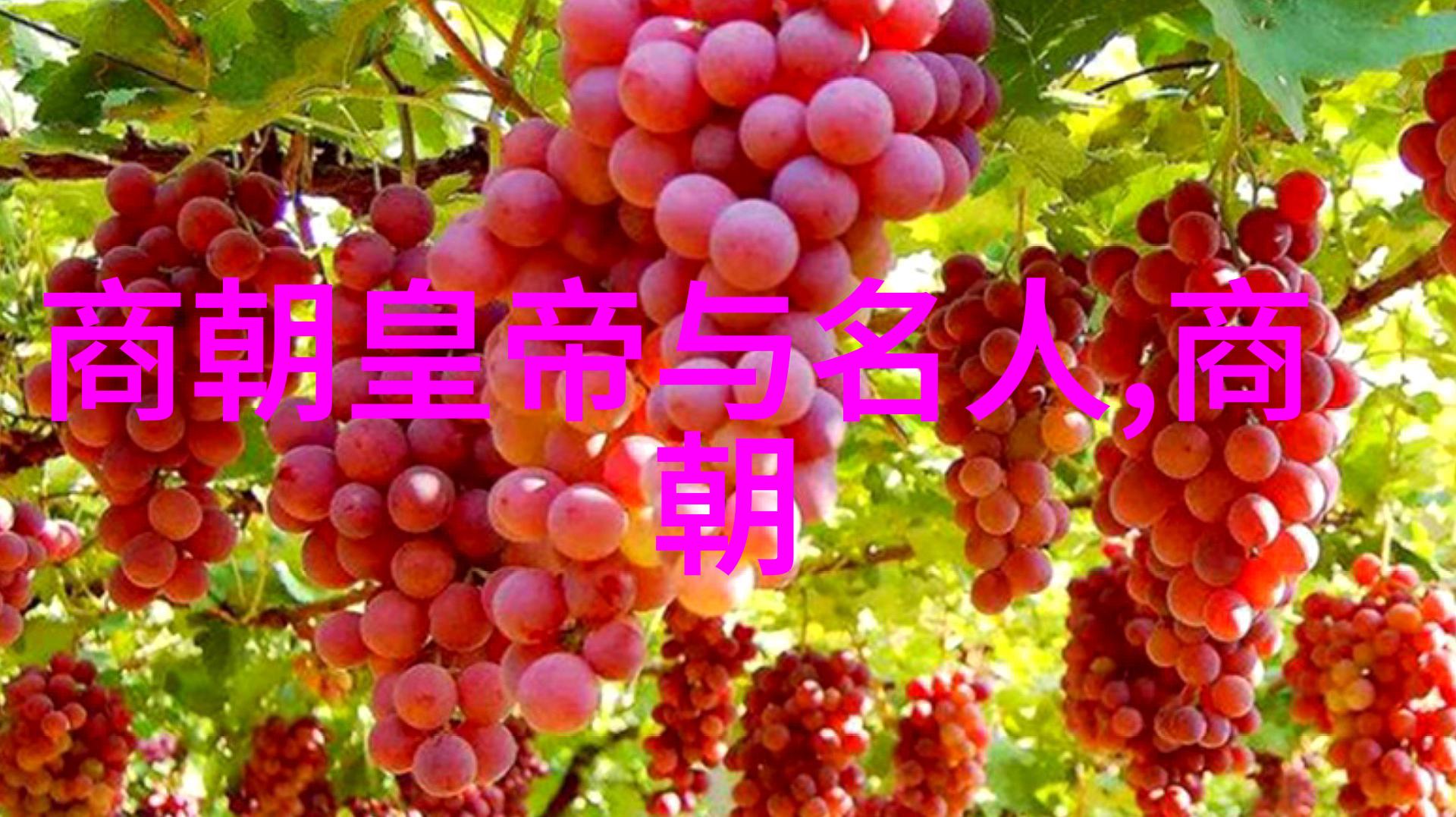中国历史上最长的朝代秦汉隋唐之谜