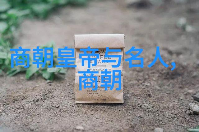 明朝皇帝世系简介从洪武至崇祯的兴衰史