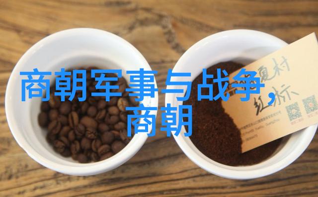 历史纷争-南宋与北宋分裂的历史根源及其文化差异