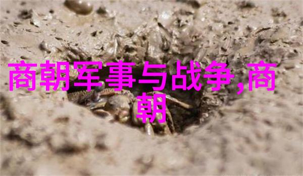 明末动乱中的清剿政策对抗李自成的复辟努力