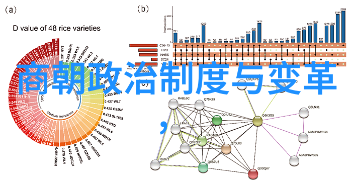 历史的赞歌宋朝专家们的共同梦想