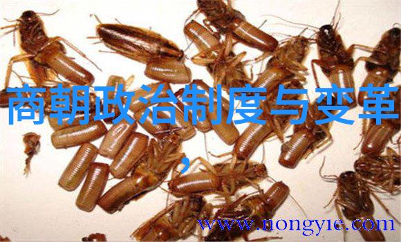文治武功并重的明成祖如何看待他的统治