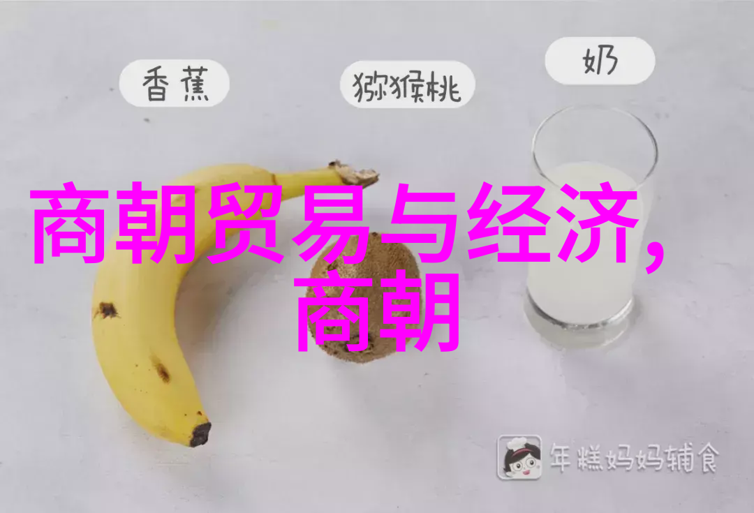 元代历史背景深度探究中国历史的转折期