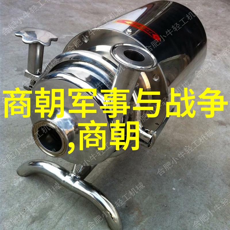 明代英杰朱祁镇的战神传说