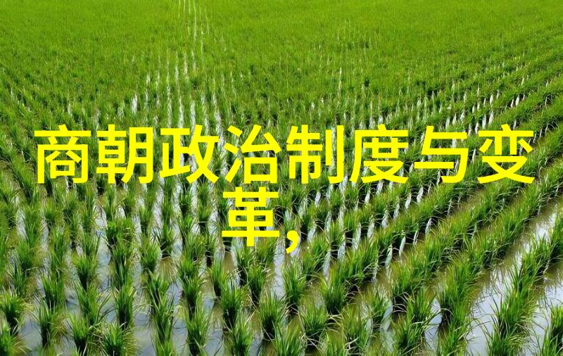 明朝由盛转衰的历史事件锦绣江山尽染红