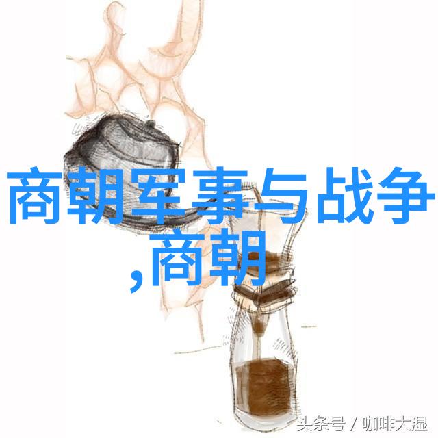 刘亦菲主演的靖康之乱电视剧为什么受到了观众的广泛关注