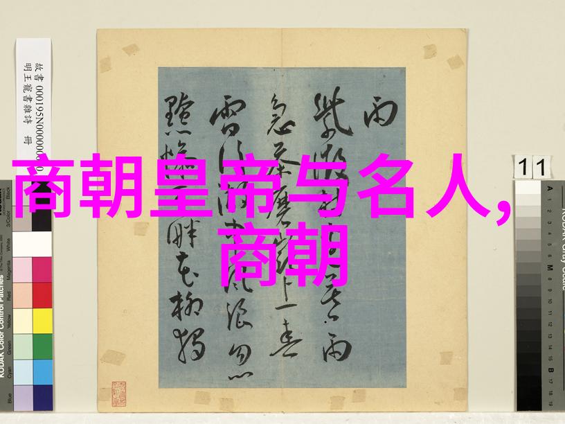 风华绝代宋朝与周边诸国的交往