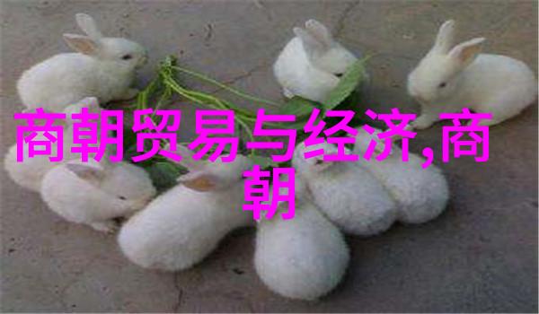 翠微村的秘密博果尔与大玉儿的奇遇