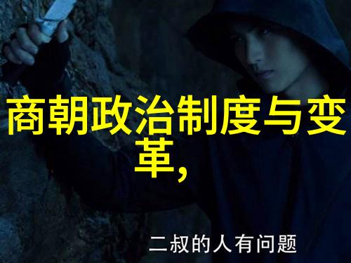 靖康之夜刘亦菲主演的历史悲剧