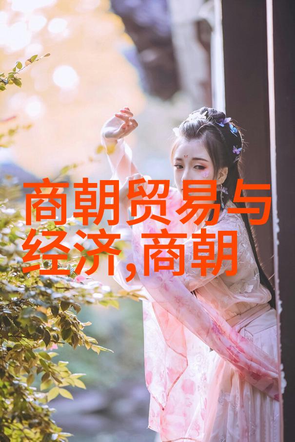 美国学者论中国法律传统陈飞的故事