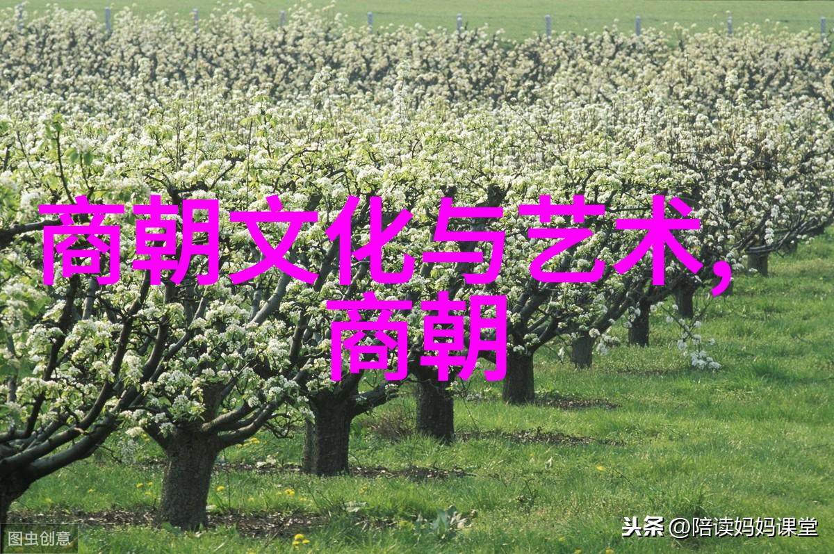 未来可期将来发展方向是不是让所有中文经典都变成可下载和分享的网络资源